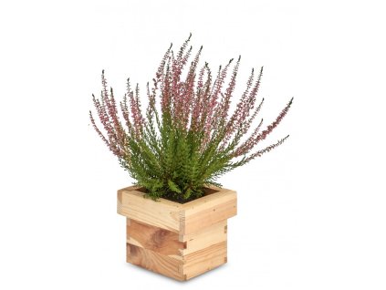 Vierkante houten plantenbak 14 x 14 x 12 cm