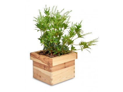 Vierkante houten plantenbak 20 x 20 x 15 cm