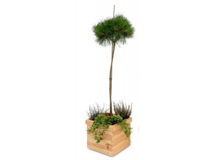 Vierkante houten plantenbak 32 x 32 x 25 cm