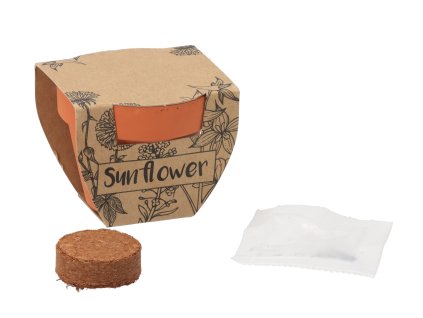 Kleine bloempot met zonnebloemzaadjes