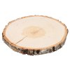 Houten schijf van berkenstam 24-28 cm