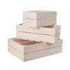 Houten kisten – set van 3 stuks