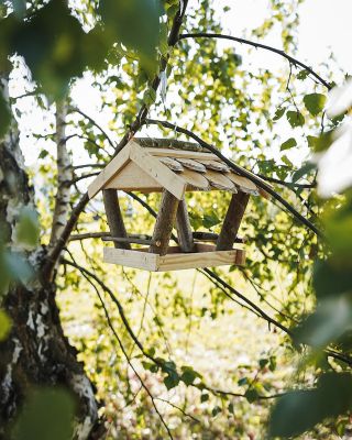 Een vogelhuisje is een klein huisje, maar heeft echt een grote betekenis 🐦 Elk huisje in de tuin betekent: 🌳 Een veilig...